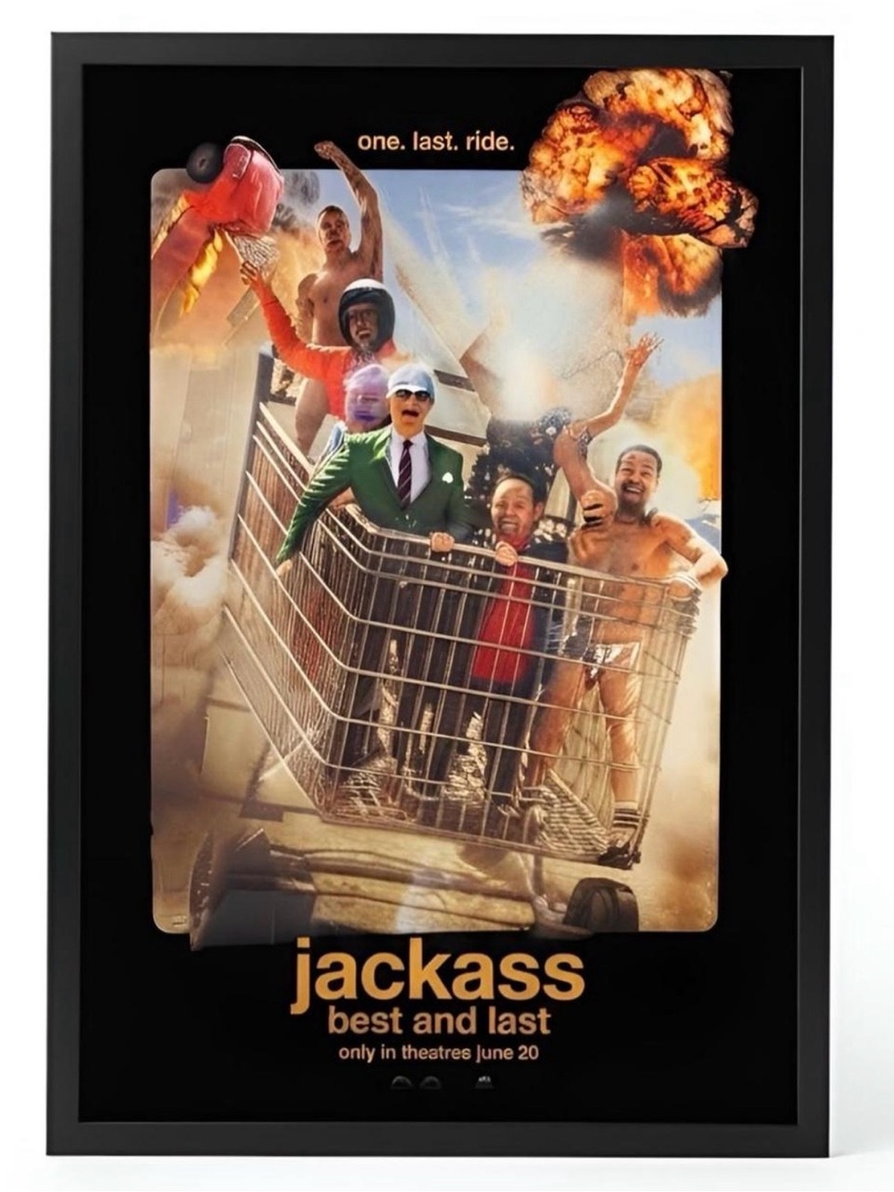 Jackass Best and Last Authentic Theater Poster